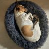 Perla - ADOPTADA - Imagen 9