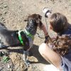 Wendy - ADOPTADA - Imagen 10