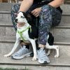 Chaplin - ADOPTADO - Imagen 7