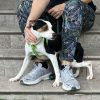 Chaplin - ADOPTADO - Imagen 6