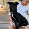 Romeo - ADOPTADO