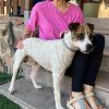 Ramón - ADOPTADO