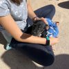 Fresa - ADOPTADA - Imagen 2