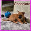 Chocolate - Imagen 2