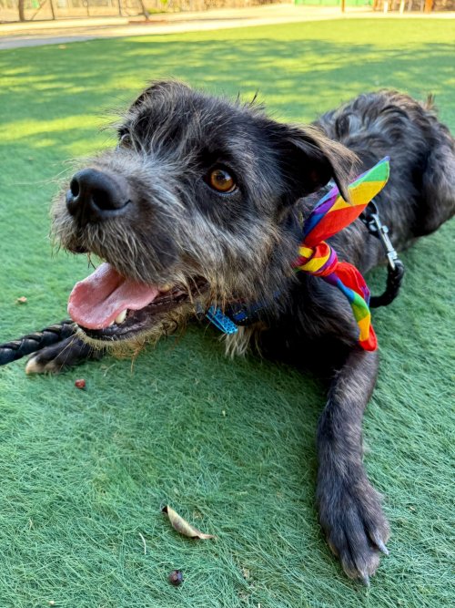 Tavo - RESERVADO - Imagen 7