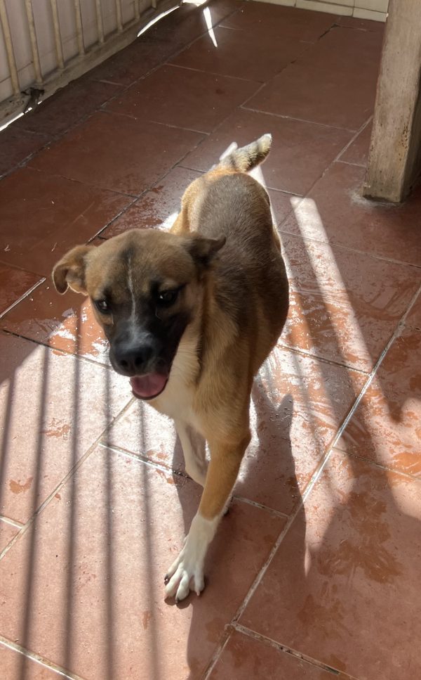 Turbi - Imagen 5