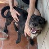 Tavo - Imagen 2