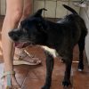 Tavo - Imagen 5