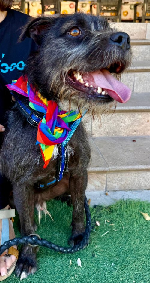 Tavo - RESERVADO - Imagen 17