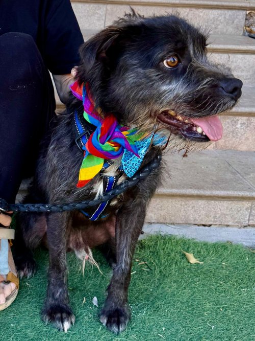 Tavo - RESERVADO - Imagen 15