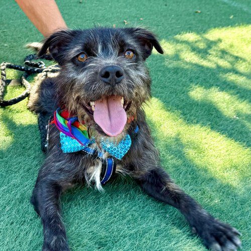 Tavo - RESERVADO - Imagen 18