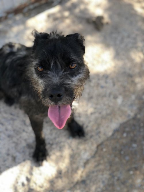 Tavo - RESERVADO - Imagen 2