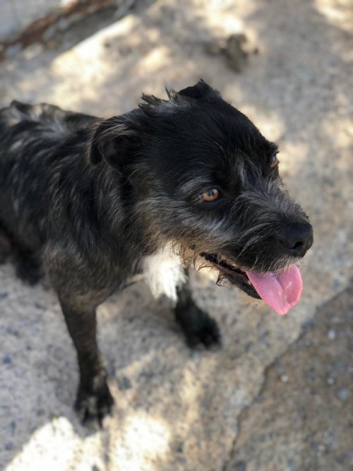 Tavo - RESERVADO - Imagen 8