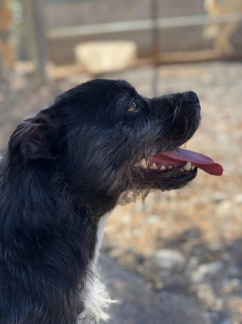 Tavo - RESERVADO - Imagen 4