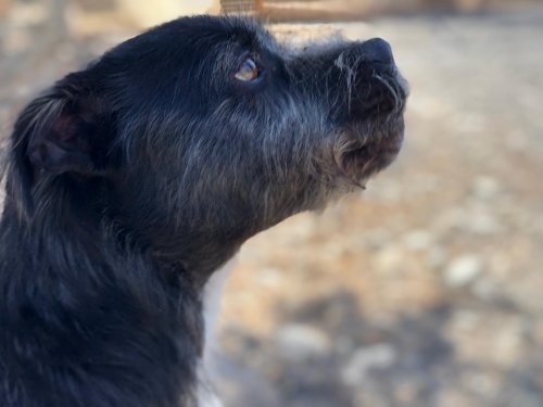 Tavo - RESERVADO - Imagen 5