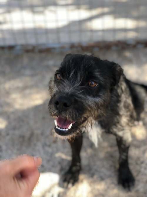 Tavo - RESERVADO - Imagen 3