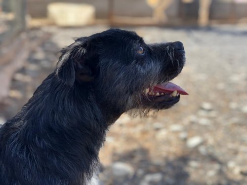 Tavo - RESERVADO - Imagen 6