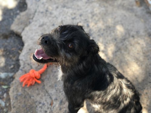 Tavo - RESERVADO - Imagen 9