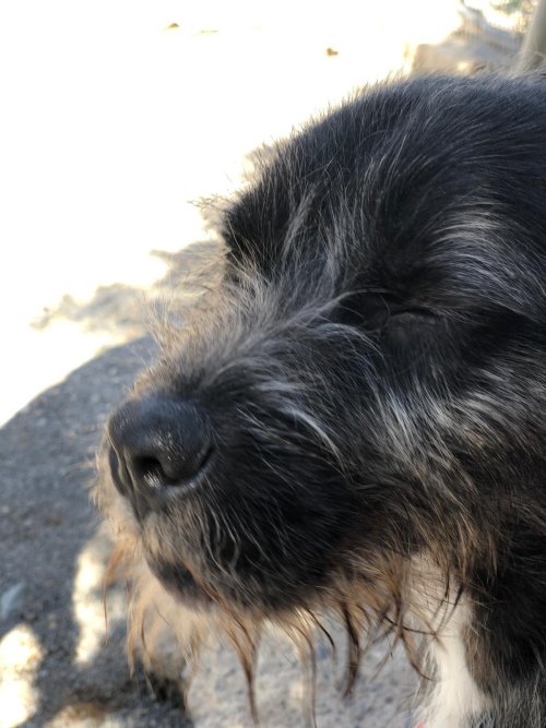 Tavo - RESERVADO - Imagen 10