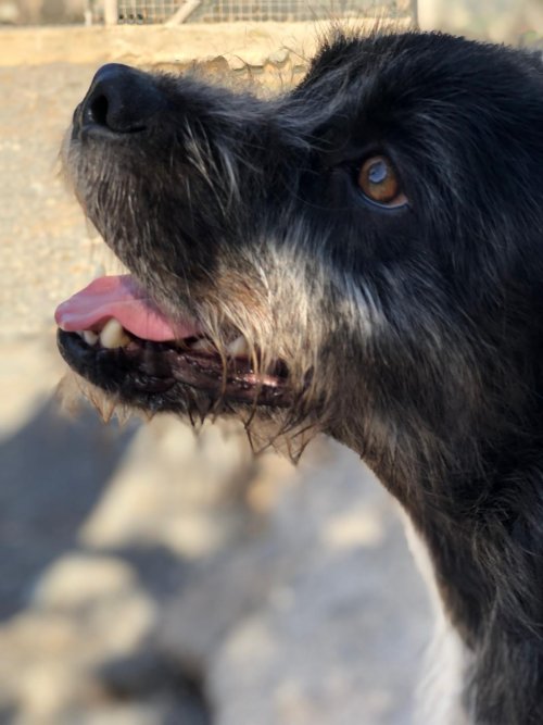 Tavo - RESERVADO - Imagen 11