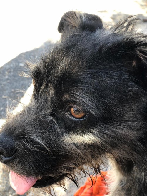 Tavo - RESERVADO - Imagen 12