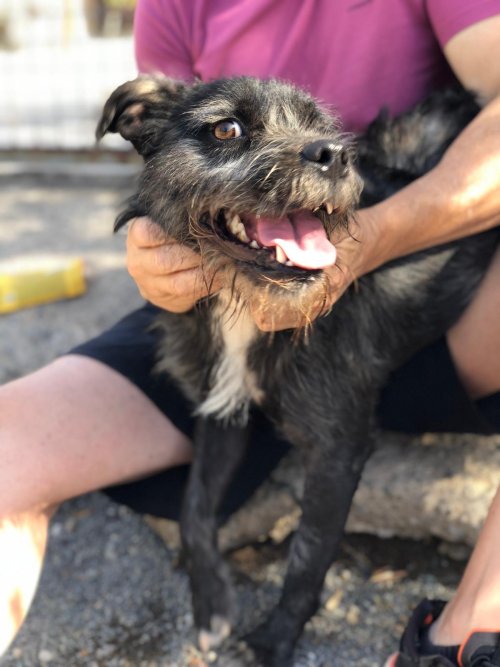 Tavo - RESERVADO - Imagen 13