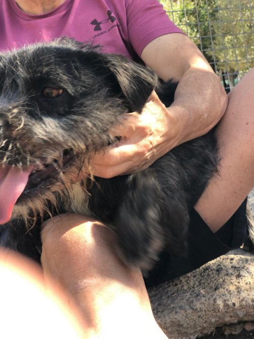 Tavo - RESERVADO - Imagen 14