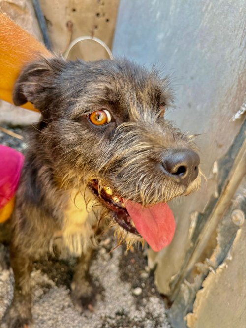 Tavo - RESERVADO - Imagen 19