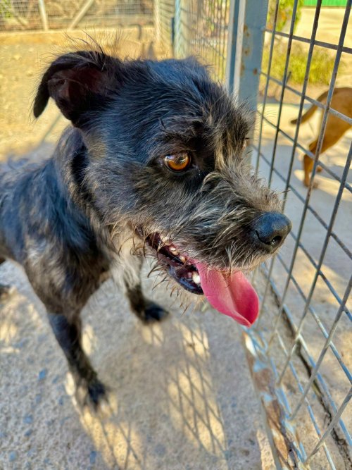 Tavo - RESERVADO - Imagen 20