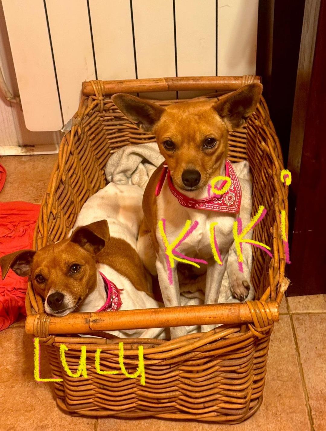 Kiki y Lulú - RESERVADAS