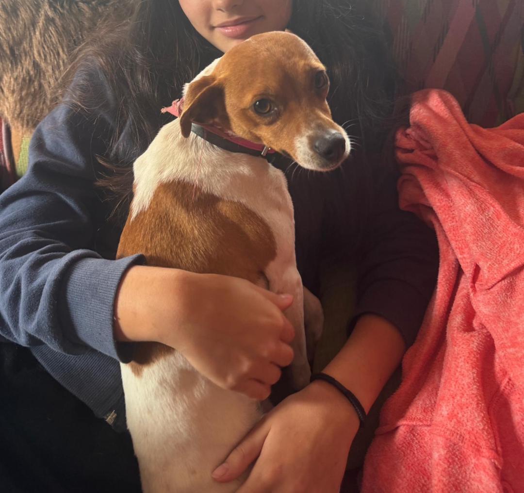 Kiki y Lulú - RESERVADAS - Imagen 3