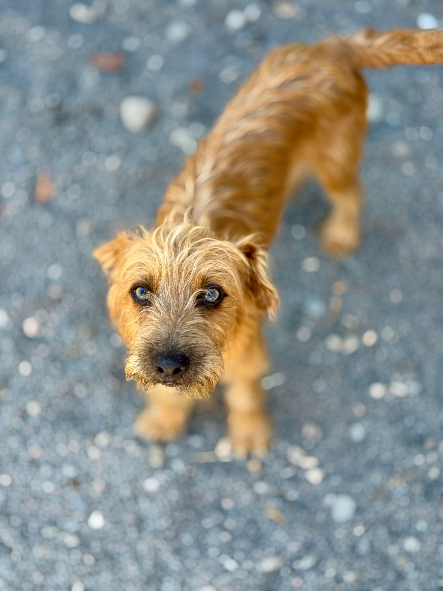 Bounty - RESERVADO - Imagen 2