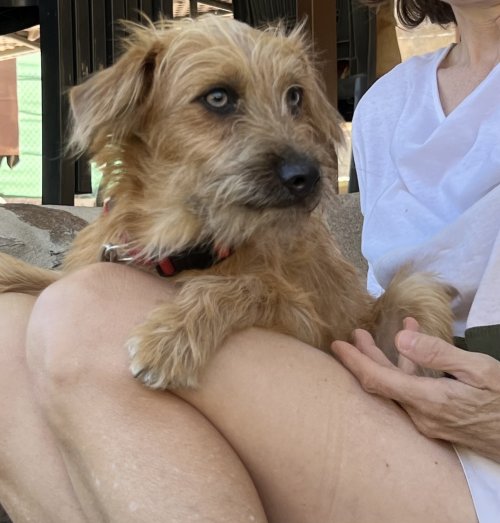 Bounty - RESERVADO - Imagen 10