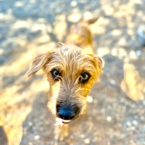 Bounty - RESERVADO - Imagen 3