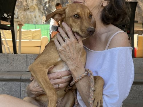 Marlon - RESERVADO - Imagen 9