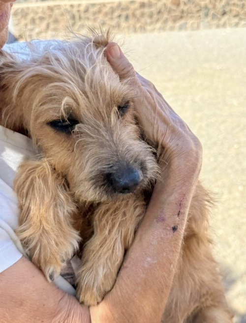 Bounty - RESERVADO - Imagen 4