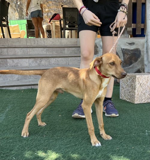 Marlon - RESERVADO - Imagen 8