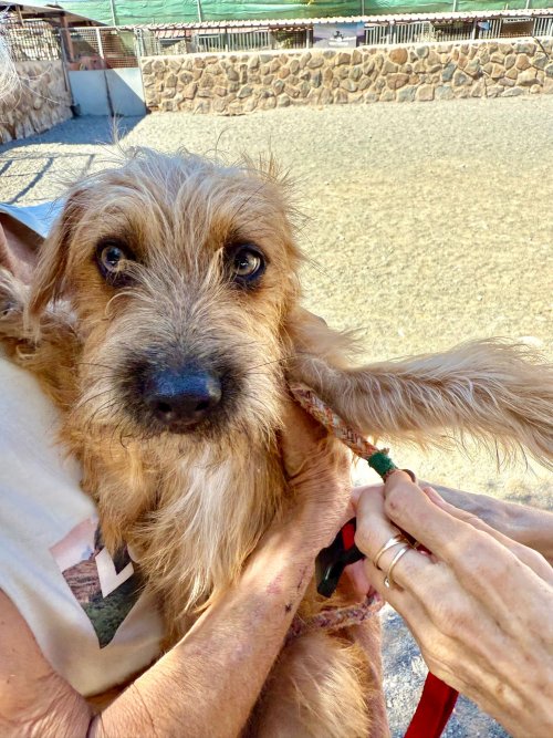 Bounty - RESERVADO - Imagen 11