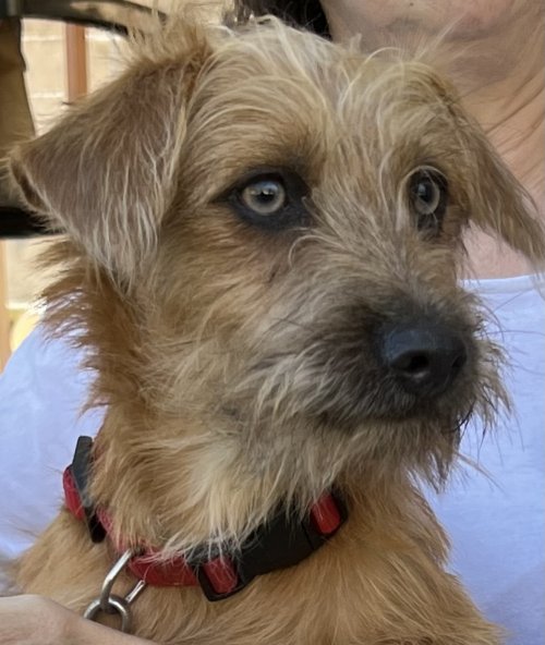 Bounty - RESERVADO - Imagen 5