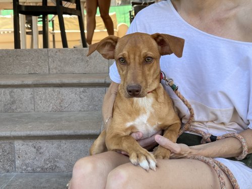 Marlon - RESERVADO - Imagen 7