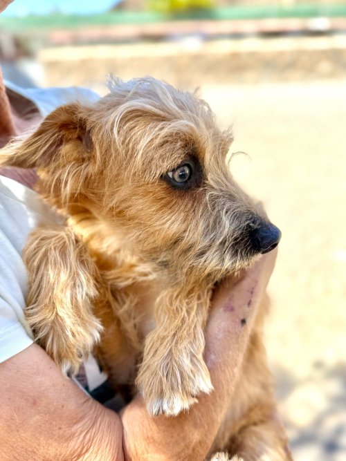 Bounty - RESERVADO - Imagen 6