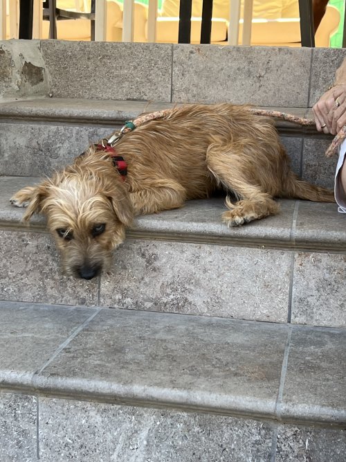 Bounty - RESERVADO - Imagen 7