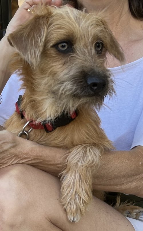 Bounty - RESERVADO - Imagen 8