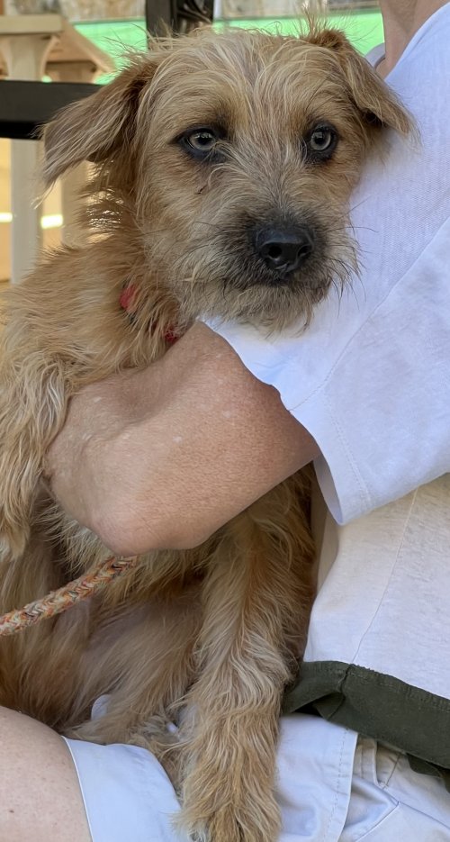 Bounty - RESERVADO - Imagen 9