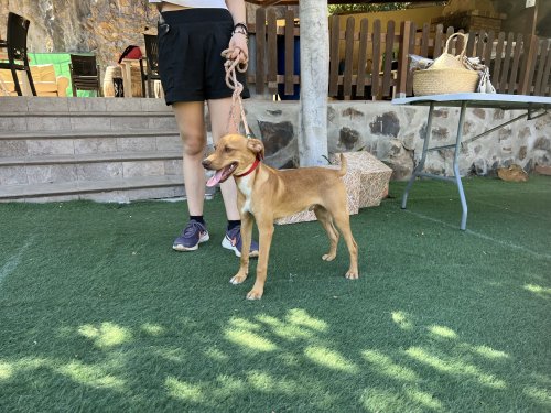 Marlon - RESERVADO - Imagen 6