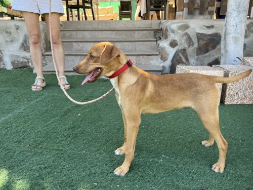 Marlon - RESERVADO - Imagen 5