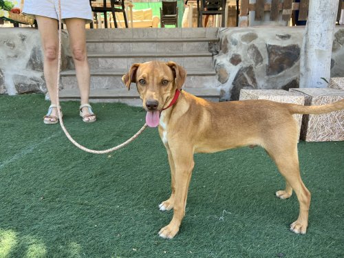 Marlon - RESERVADO - Imagen 4