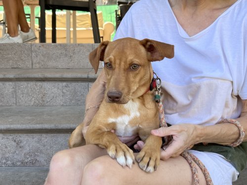 Marlon - RESERVADO - Imagen 3