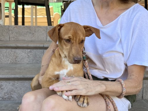 Marlon - RESERVADO - Imagen 2