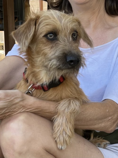 Bounty - RESERVADO - Imagen 12